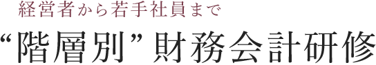 経営者から若手社員まで 階層別財務会計研修